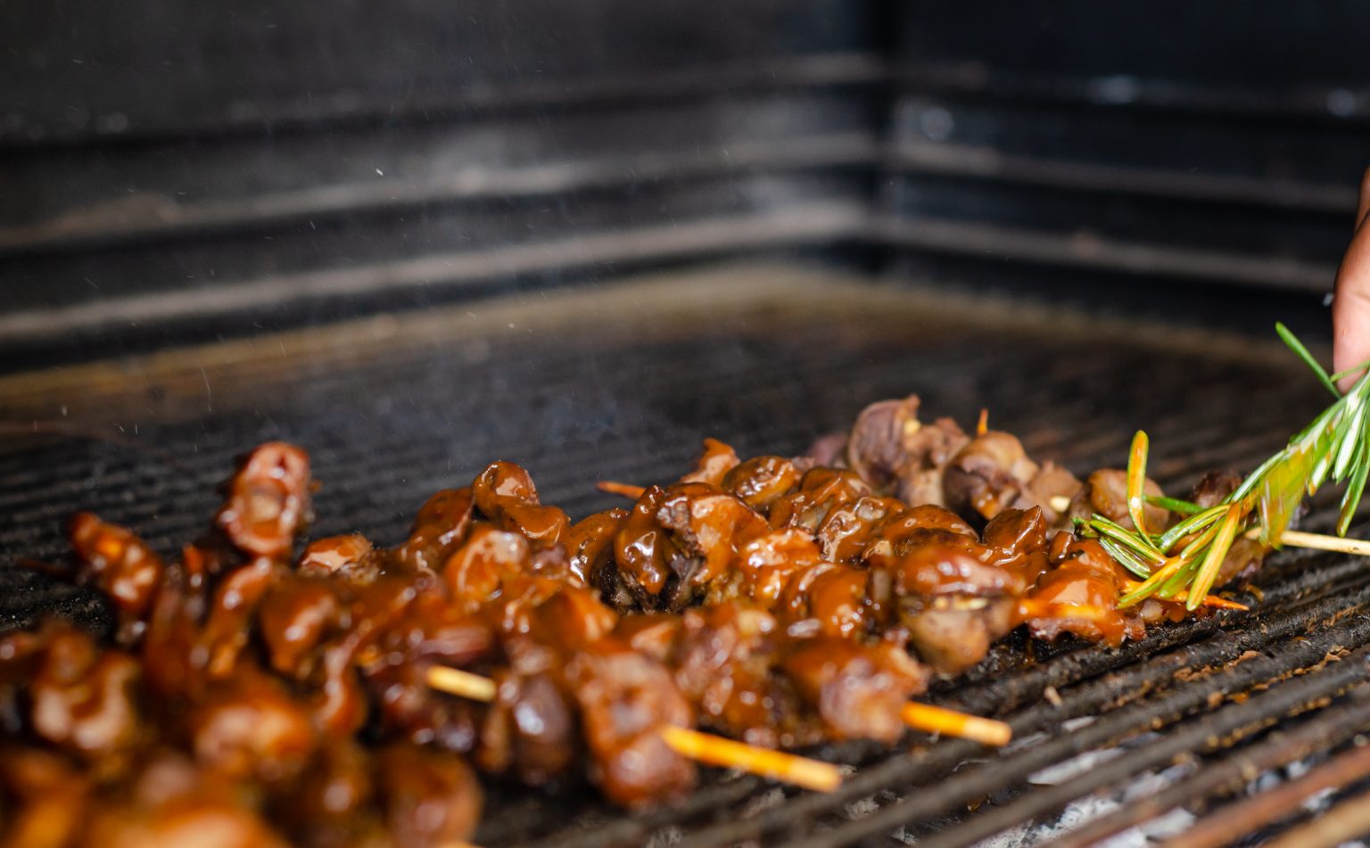 Braaied BBQ gizzard kebabs Astral Chicken